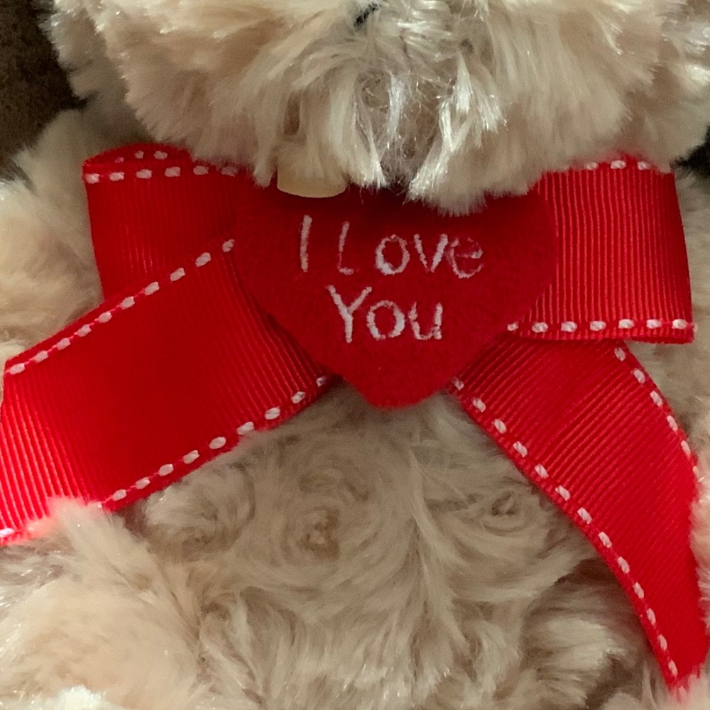 Ultra Cute Tan Teddy Bear With I LOVE YOU Heart & Red Ribbon - Picture 2 of 5